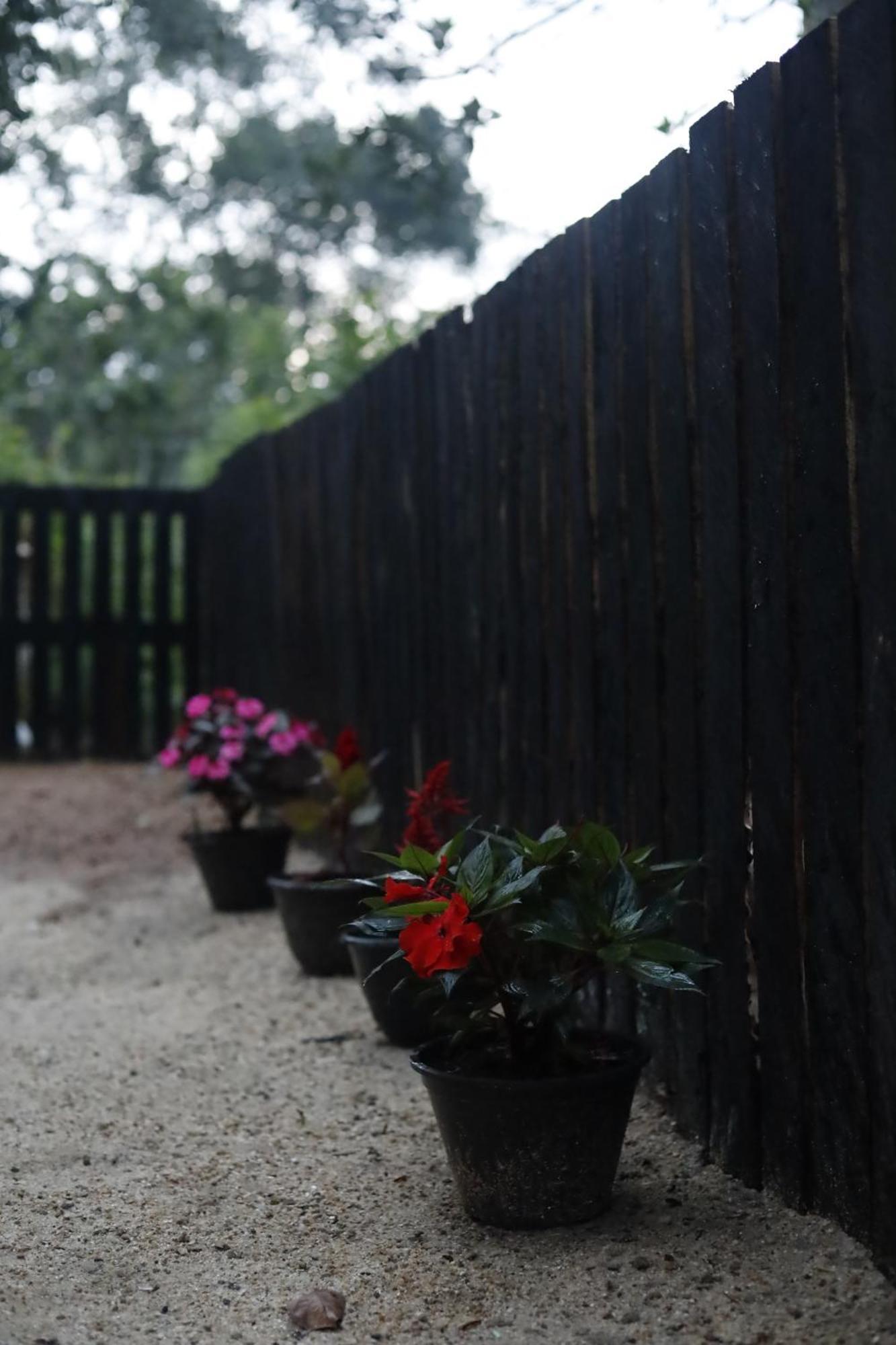 Bed & Baggage Hostel Ella Bagian luar foto