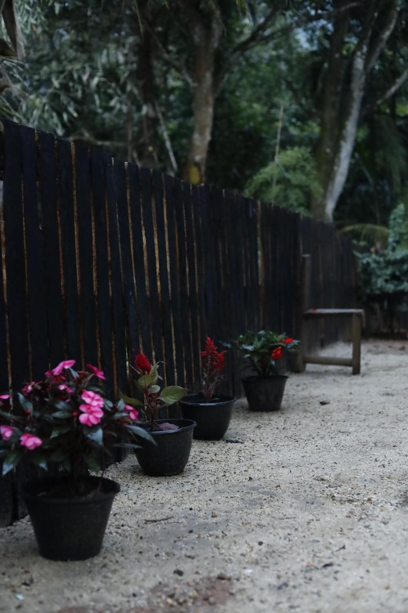 Bed & Baggage Hostel Ella Bagian luar foto
